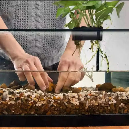 Aquarium with gravel and plant.