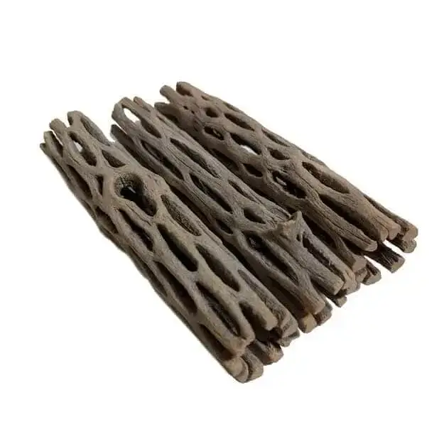 Several pieces of dried cholla cactus wood.