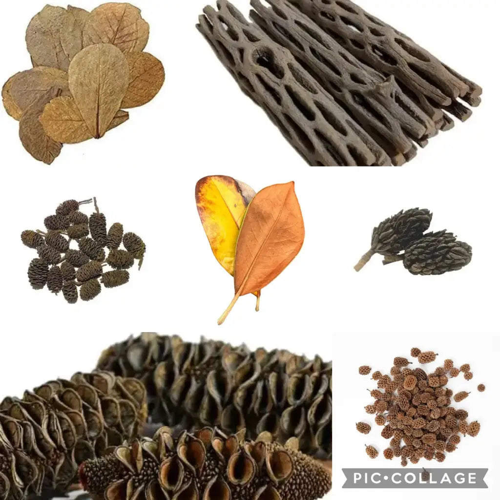 An assortment of natural botanicals and dried plant parts.