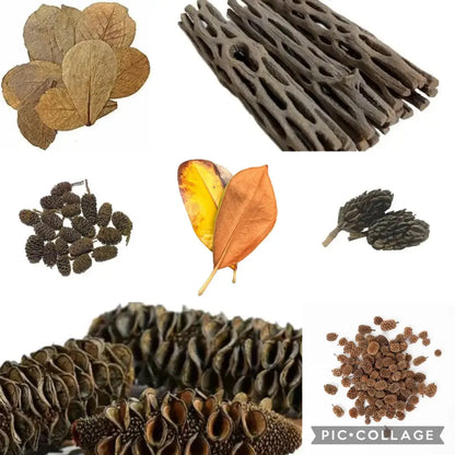 An assortment of natural botanicals and dried plant parts.