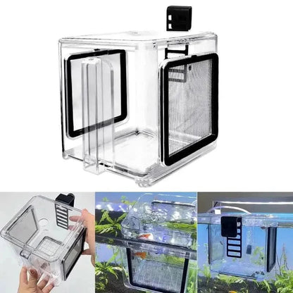 Clear plastic aquarium breeder box.