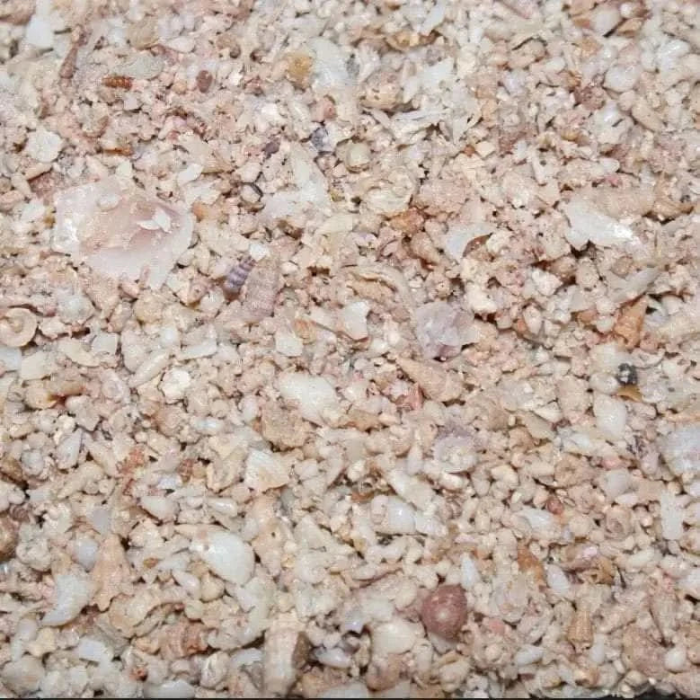 Crushed seashells and coral.