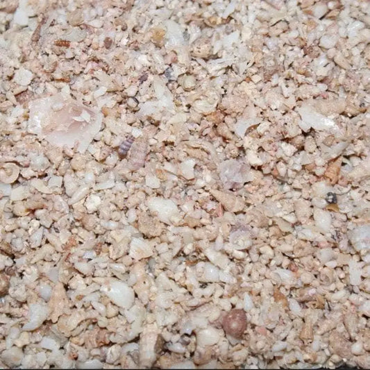 Shell Grit 500g