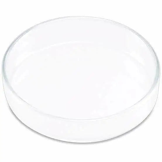 Shrimp Feeding Dish 9CM