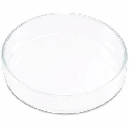 Shrimp Feeding Dish 9CM