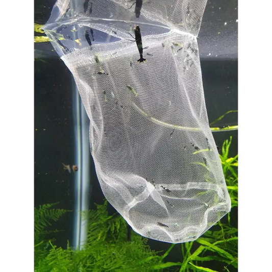 White mesh net filled with dark shrimp.
