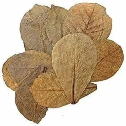Dried brown leaves.