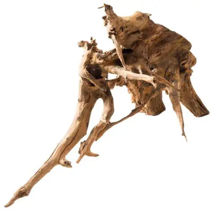 Wizard Wood 20cm