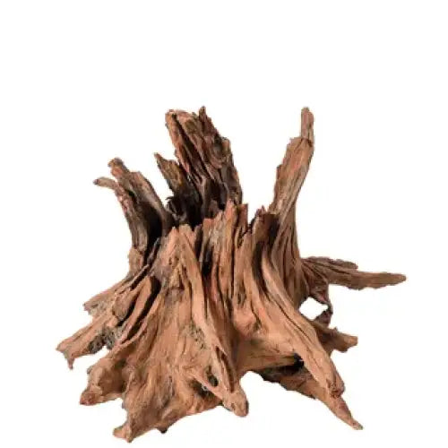 Wizard Wood 20cm
