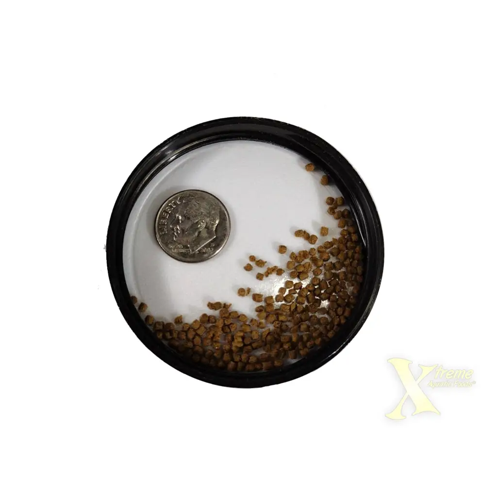 Round container with seeds and a dime.