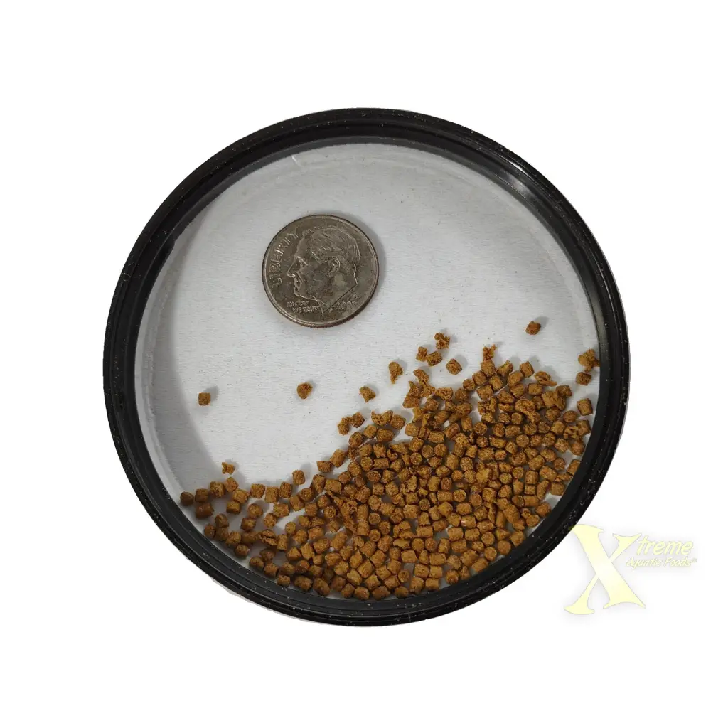 Round container with fish food and a quarter.
