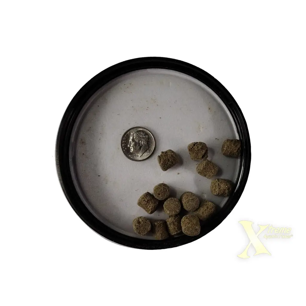 Fish food pellets with a dime.