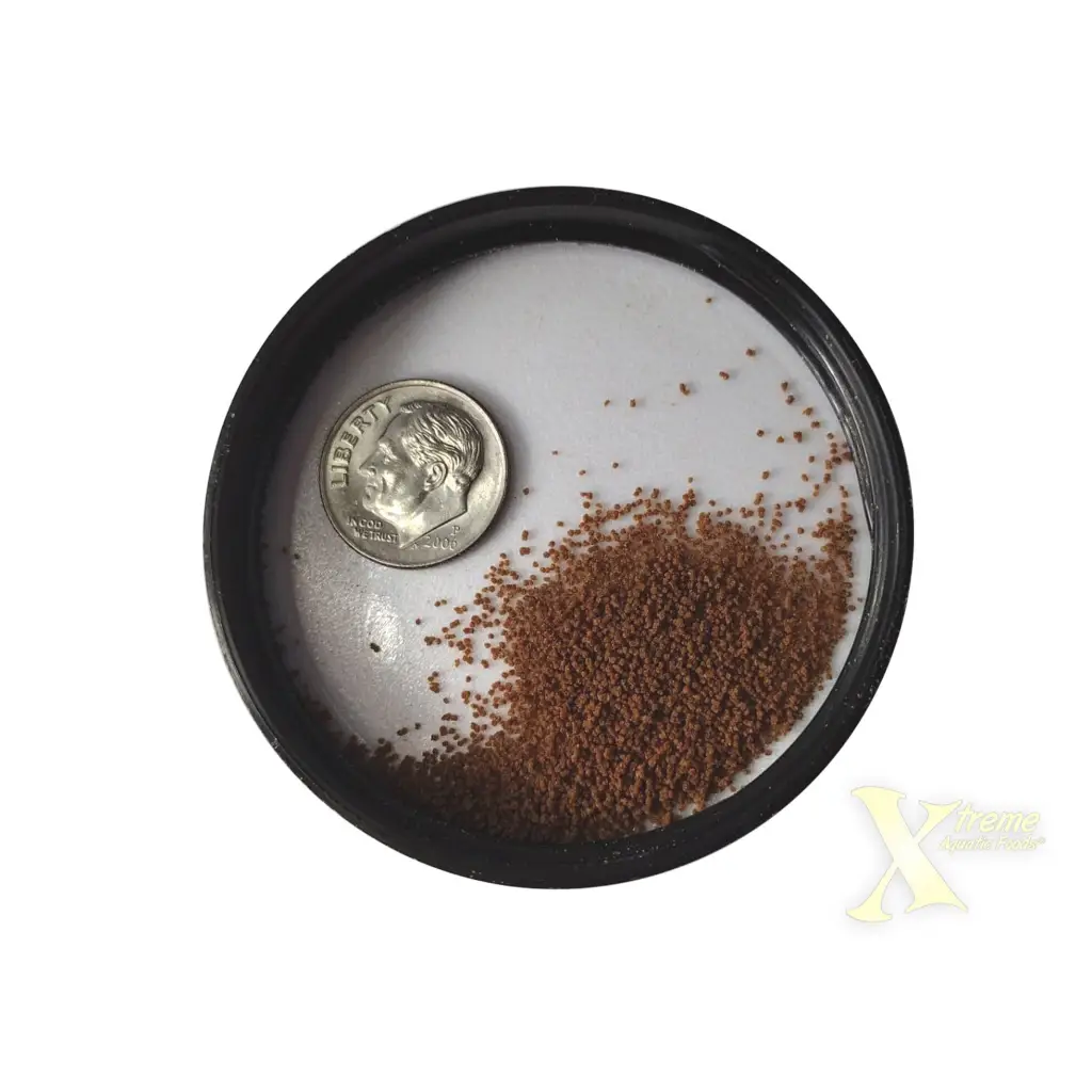Tiny brown seeds.