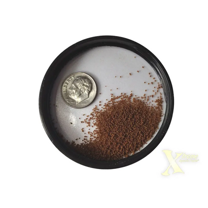 Tiny brown seeds.