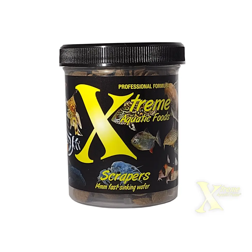 Container of fish food.